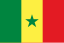 SN Flag